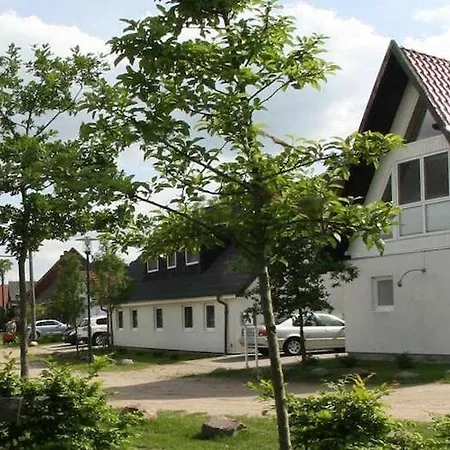 Im Mueritz Nationalpark In Mirow