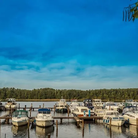 Im Mueritz Nationalpark In