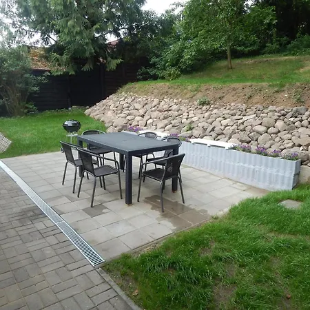 Im Mueritz Nationalpark In *