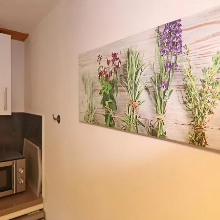 Apartamento Im Mueritz Nationalpark In Mirow